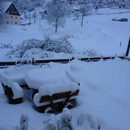 Wiesenblick Apartment *