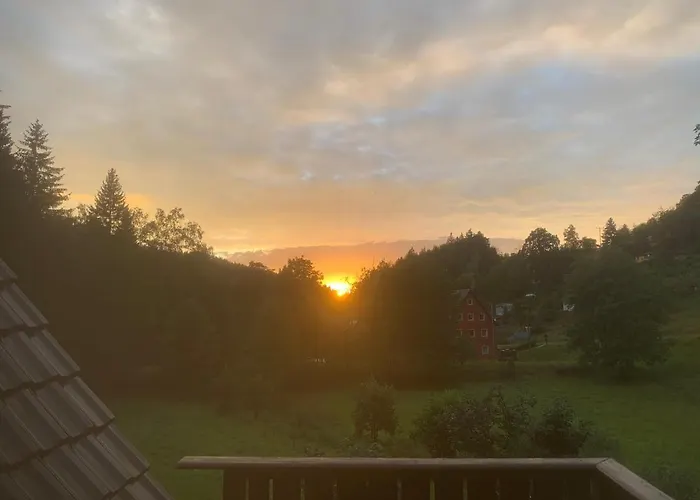 Wiesenblick شقة *