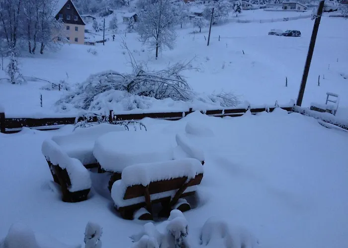 Wiesenblick Апартаменты *